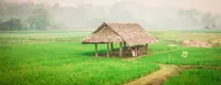 PAINCHARI